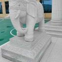 邵阳 白麻花岗岩动物异形石雕-大象