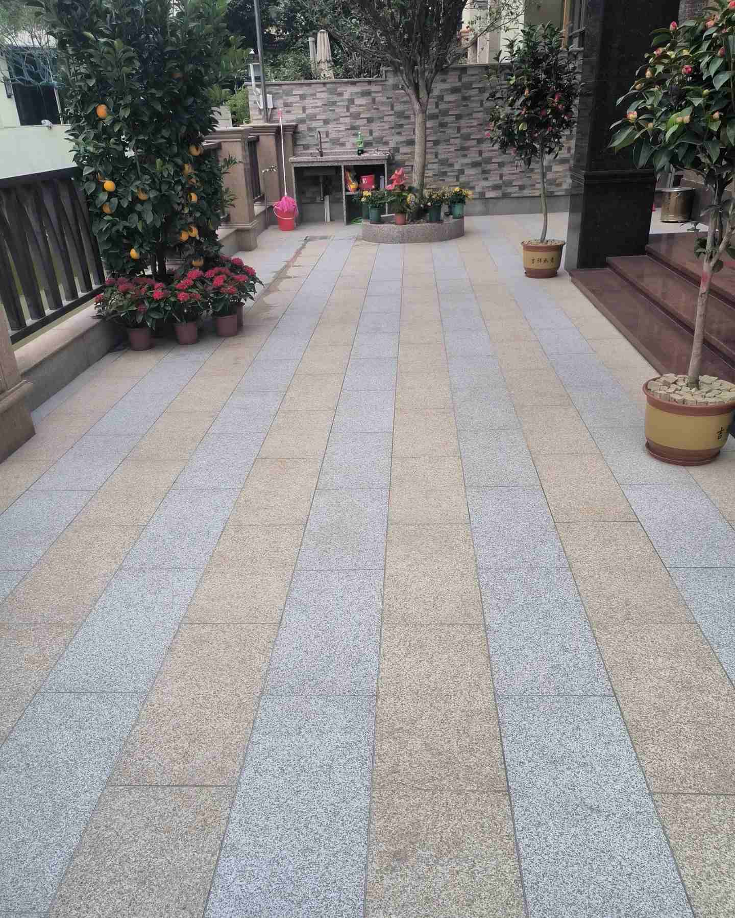 邵阳 黄金麻白麻荔枝面庭院铺装展示