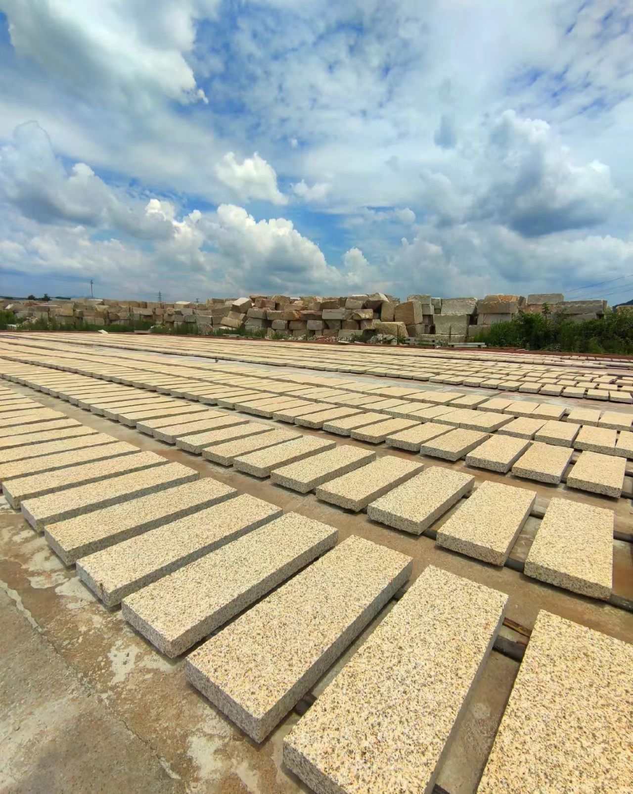 邵阳 黄金麻花岗岩荔枝面地铺石防护中